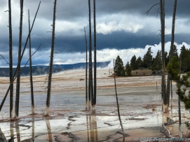 10 24 18 Yellowstone-Grand Tetons to Jackson WY duplicates unknown (96 of 134)