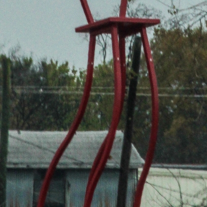 11 24 18 Sculpture Fields at Montague Park Chattanoogo TN (15 of 27)