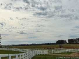 11 25 18 Kentucky Downs Franklin KY #2 (1 of 1)
